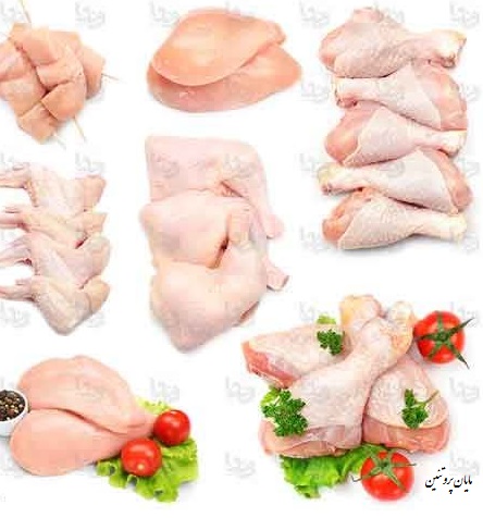 قطعات مرغ