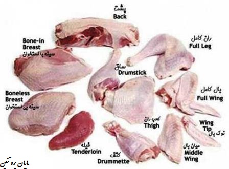راهنمای قطعه بندی مرغ