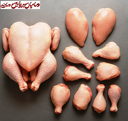 قطعه بندی مرغ