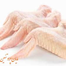 بال مرغ