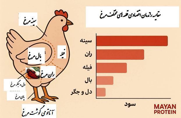 راندمان اقتصادی قطعه های مرغ