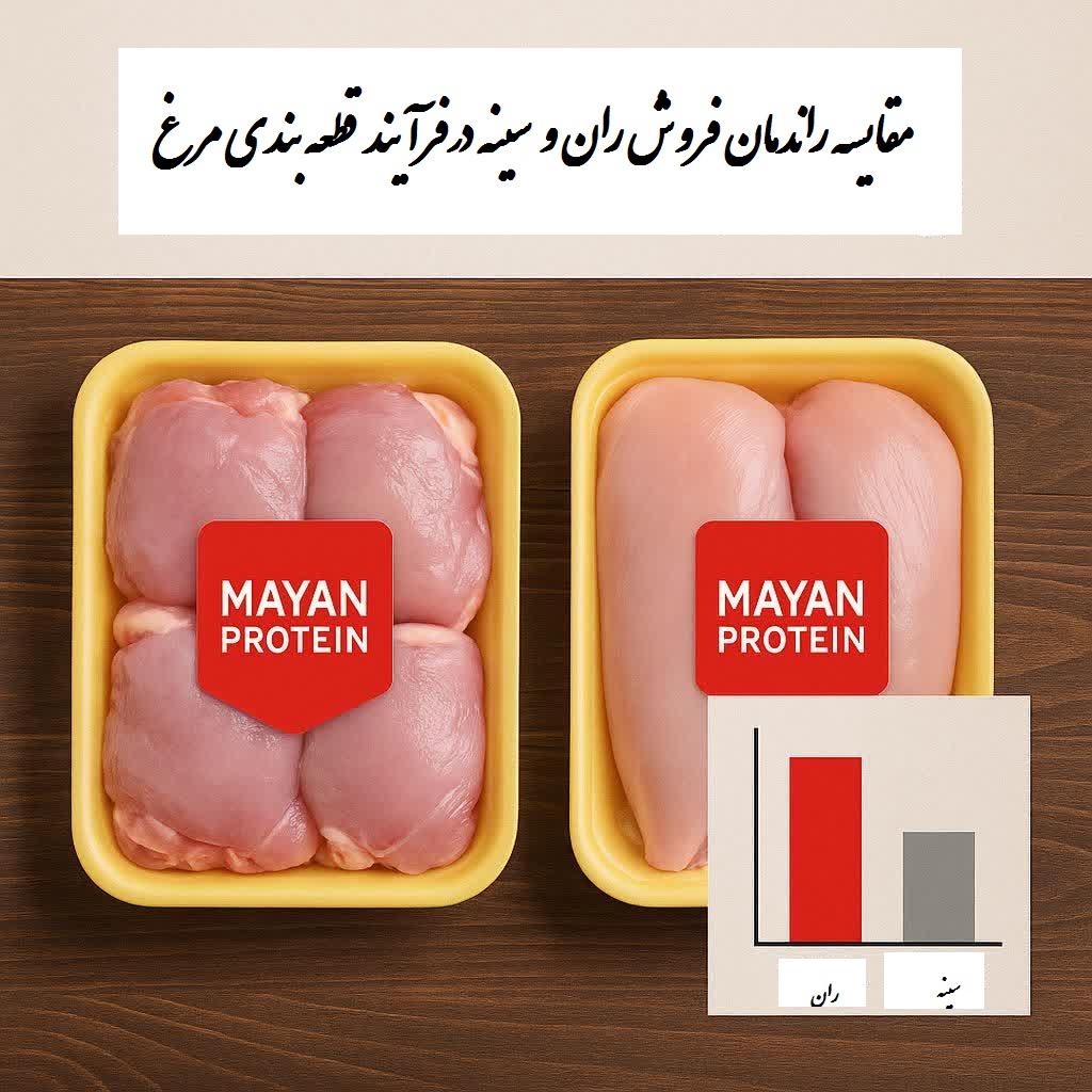 راندمان ران و سینه مرغ
